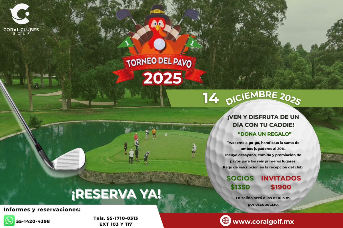 Torneo pavo-web